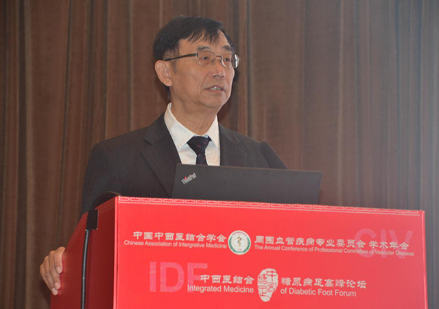 我院楊博華教授、章(zhāng)新根主任出席第5屆中西(xī)醫(yī)結合糖尿病足高(gāo)峰論壇(圖4) 我院楊博華教授、章(zhāng)新根主任出席第5屆中西(xī)醫(yī)結合糖尿病足高(gāo)峰論壇(圖4)